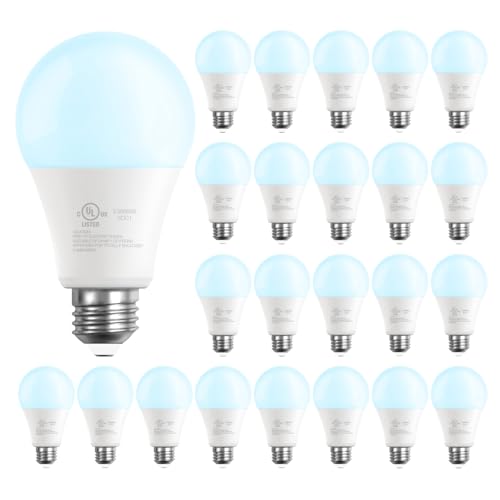 DAYBETTER A19 LED Light Bulbs, 60 Watt Equivalent LED Bulbs, Long Lifespan High Brightness 800LM Daylight White 5000K, E26 Standard Base Light Bulbs for Home Bedroom Office, Non-Dimmable, 24 Pack