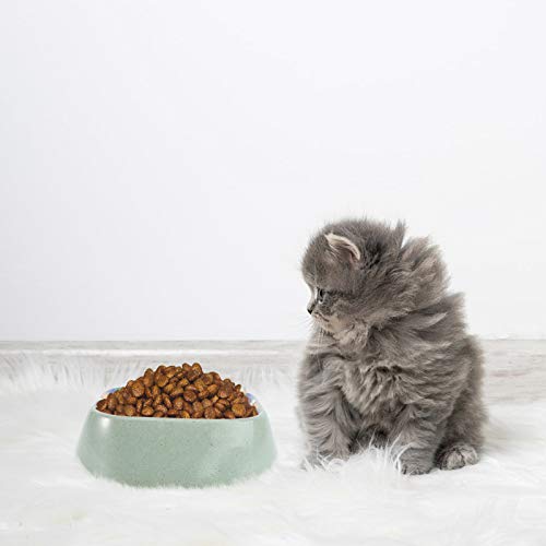 Tigela de fibra de bambu para animais de estimação e tigela de comida para cães (estilo de cor aleat