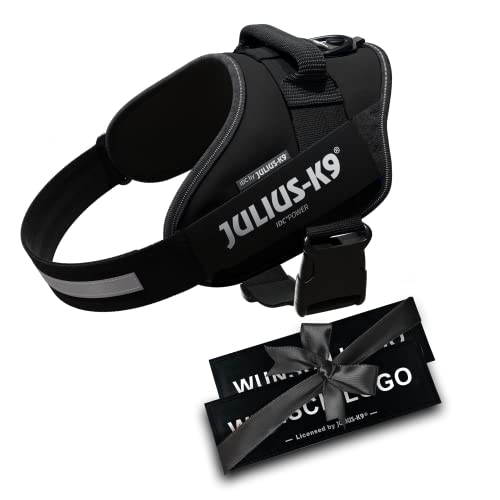 JULIUS K-9 IDC Powergeschirre Schwarz mit individuelle Klettaufschriften Bundle optionale Größe