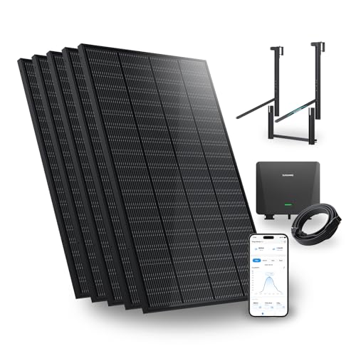 Bild: SUNSHARE Ray 1000W B...