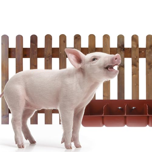 Mangeoire pour chèvre en plastique à compartiments pour élevage