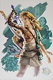 The Legend Of Zelda: Tears Of The Kingdom - Gaming Poster (Link Unleashed) (Size: 24' x 36')