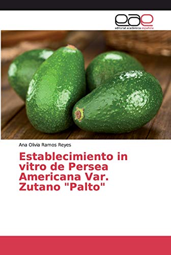Establecimiento in vitro de Persea Americana Var. Zutano 