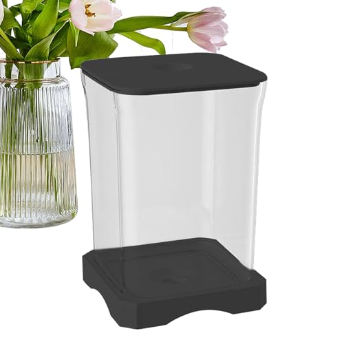 Kit aquarium Betta de bureau avec lampe LED rectangulaire - 2
