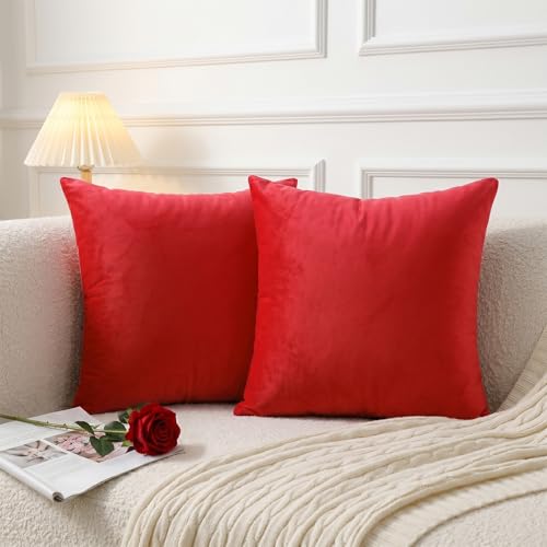 Thmyo 2 Pack Soft Velvet Solid Decorative Square Throw Pillow Covers Christmas Cozy Cushion Case for Sofa Couch Bed Car Home Decor(20x20inch/ 50x50cm Red)