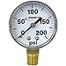 Dry Bottom Mount Pressure Gauge,2"