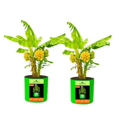 Image of Kingwell grow bags 24X24 inch pack of 2 For Terrace Garden Vegetable Plant Grow Bags Fruits Growing Containers For terrece Gardening