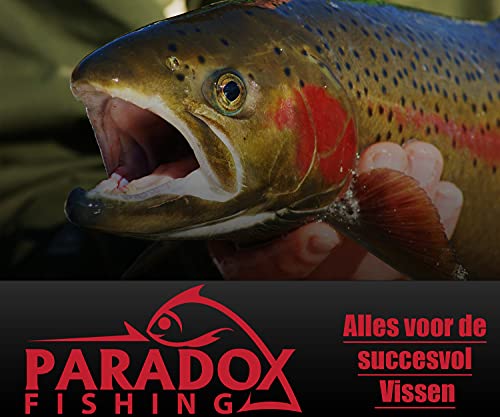 Paradox Fishing forel ass Set 10 Spoons 2,5 g trout spoons met doos en 5 Snaps forel lokaas set voor forellen vissen forellen knipperlichten - Spoons forel - Image 8