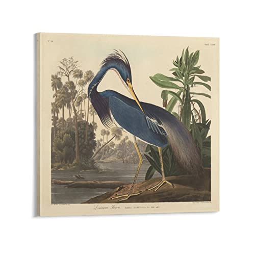 John James Audubon Animal Posters Birds Of America Herons Modern Tree Painting Decorative Posters Canvas Wall Art Prints For Wall Decor Room Decor Bedroom Decor Gifts 28X28Inch(70X70Cm) Frame-Style #TOP26