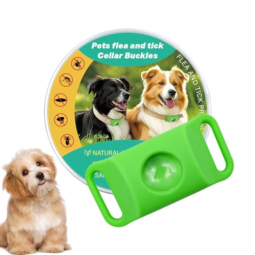 Dog Collar, \Xgbvtm~, obNfUC 90ԕی ybgPA  O Ƌ