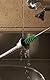 Pijpborstel met handvatpolyester vezels, medium of hard, ca. 500 mm x diverse diameters