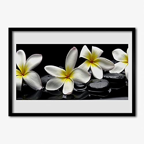 Affiche encadrée Tulup avec cadre en MDF 70x50 cm image murale fleur de plumeria