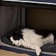 BEDSURE Hundebett Waschbar Extra Groß - XL Hundekissen Bett Beruhigende Hundematratze mit Rutschfestem Boden, Hund Angst Kissen für Sehr Große Haustiere, Grau, 104x69x8cm