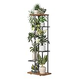 Simple Trending Plant Stand Indoor, Tall 6 Tier Metal Plant Shelf for Multiple Plants, Tiered Flower Pot Stands for Patio Garden Balcony Living Room Bedroom, Brown