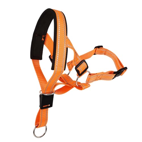 GerRiT    p [  p}Y ih     33.00X25.00X2.50CM