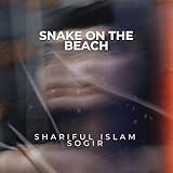 Shariful Islam Sogir