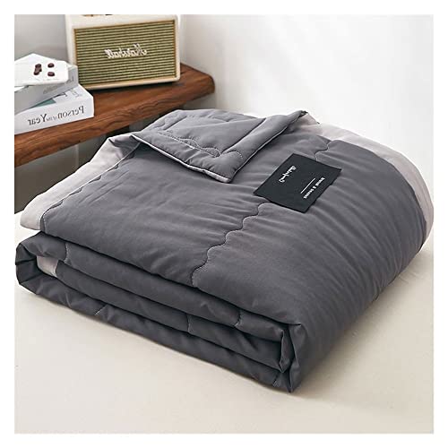 ZZDXW Sommer Steppbett Im Wende-Design150X200cm Leichtsteppbett Für Camping Und Heiße Tage I Ohne Bezug Verwendbar I Farbig & Bunt Mikrofaser Steppdecken (Color : Z, Size : 150x200cm) Cover