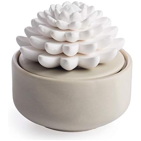 Airomé White Succulent, Porcelain Passive Essential Oil Diffuser (with 15ml Peppermint Essential Oil) – Non-Electric, Battery-Free, Improves Sleep, and Relieves Stress Cover