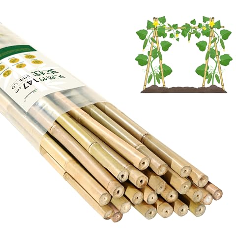 Cambaverd 園芸 支柱 約150cm 20本入り 天然竹製 トマト・豆類・キュウリ・鉢植え用 植物支え 家庭菜園向け 園芸用品