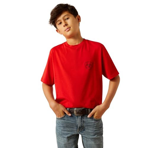 ARIAT Boys Etched Buffalo Lof Flag T-Shirt3