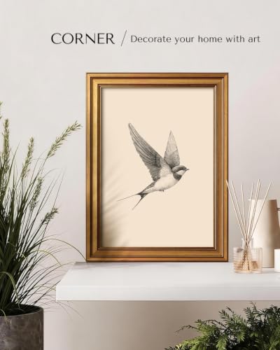 Image of Gold Framed Vintage Wall Art, Sketch Wall Decor- Sand Martin -12 x 16 IN