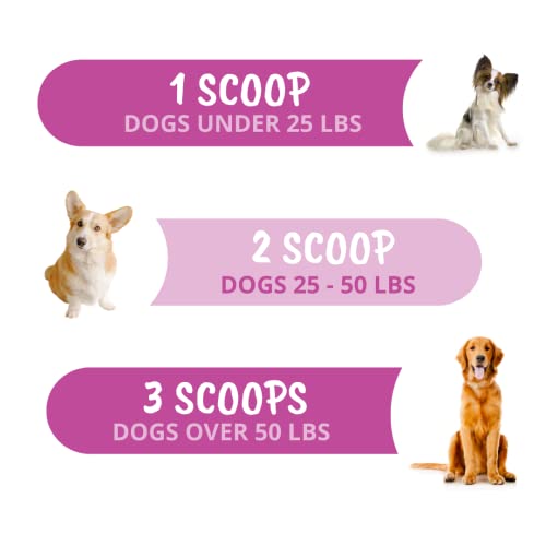 Under the Weather Pet Joint and Hip Powder for Dogs | Vet Formulated Dog Supplements with Glucosamine Antioxidants & Chondroitin for Strong Overall Joint Health | Promotes Good Mobility & Flexibility - Thumbnail 3