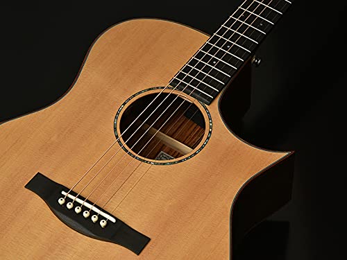 Amazon.co.jp: Headway HGAF-5100SE/C エレアコギター ヘッドウェイ