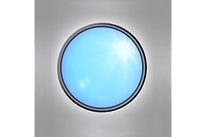 Clear Skylight Window Natural Sunlight Lamp 48W