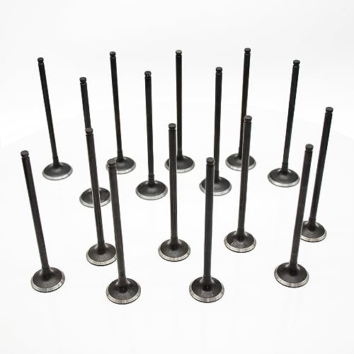 Hex Autoparts 16PCS Intake & Exhaust Valves Kit Replacement