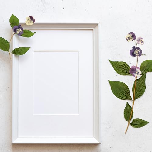 36pcs Flores secas prensadas naturales para manualidades miniatura 3
