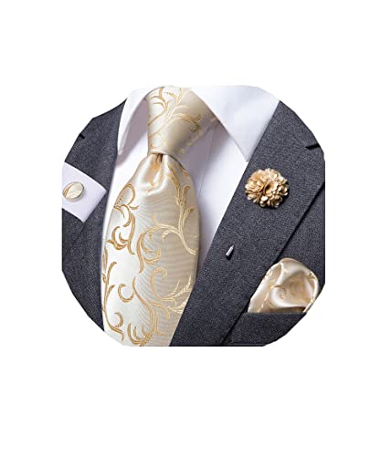Dubulle Beige Tie And Lapel Pin Set With Pocket Square Handkerchief Cufflinks … #TOP5