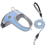 Dog Harness and Leash Set, No Pull Saddle Style Pet Harness, Breathable Mesh Adjustable Reflective Dog Vest for Dogs and Cat Medium Small Harness 2 D-Rings, Blue, L