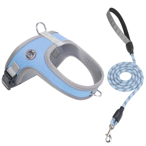 Dog Harness and Leash Set, No Pull Saddle Style Pet Harness, Breathable Mesh Adjustable Reflective Dog Vest for Dogs and Cat Medium Small Harness 2 D-Rings, Blue, L