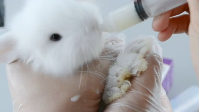 Biberon Per Gattini A Forma Di Goccia - 35 Ml, In Silicone Alimentare, Con Valvola Anti-Soffocamento
