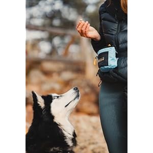   OllyDog-Goodie-Treat-Bag-Dog-Treat-Pouch-Waist-Belt-Clip-for-Hands-Free-Training-Magnetic-Closure-Dog-Training-and-Behavior-Aids-Three-Ways-to-Wear-Maui-Blue