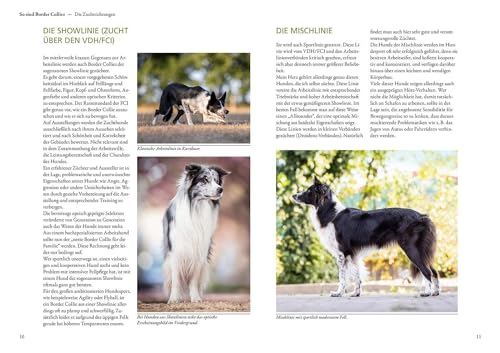 Border Collie: Auswahl, Haltung, Erziehung, Beschäftigung (Praxiswissen Hund)