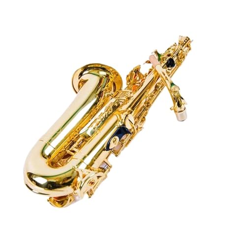 vtFbViAgTbNXS[hL[X[p[yS[hTbNX}EXs[X