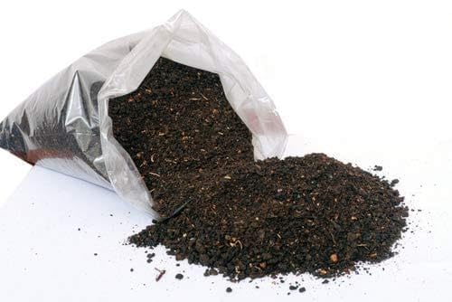 Real Bone Meal Plant Supplement for Urban Horticulture, Reliable Organic Feed for Maximizing Bud Clusters Care, Safe Soil Amender for Fragrant Flower Beds (Pack Of 250g)-image-37