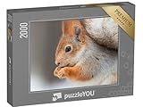 puzzleYOU