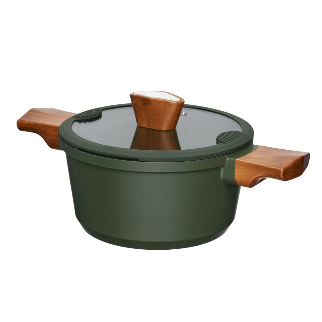 RESTO Olla con tapa de cristal antiadherente de 2,6 l, cacerola de 20 cm de aluminio con tapa, incluye borde de silicona y desagües de doble cara, olla, olla de cocina, para todo tipo de fuegos