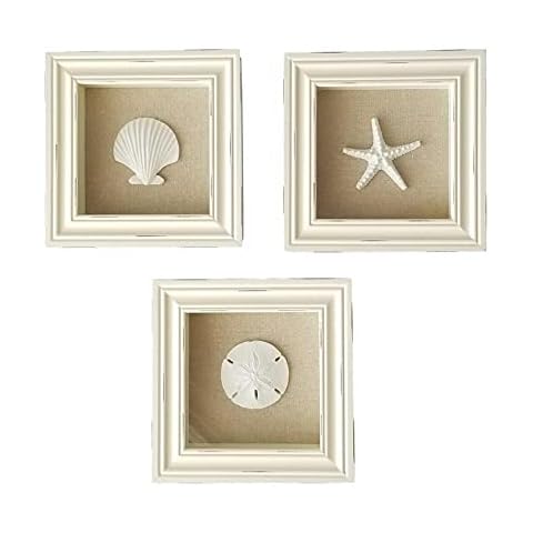 Beachy Set of 3 Shell Shabby Chic Shadow Boxes- Creamy Off White Frame 7" x 7" - Starfish, Sand Dollar and Clam Shell Mounted on Fabric Background by Tumbler Home Cover