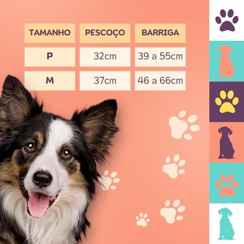 Guia e Peitoral CONFORT para Cachorro - Proporcione Conforto e Controle ao Seu Pet, Passeios Agradáv