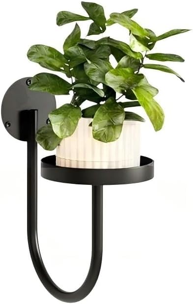 Wall-Mounted Plant Holder, Black Metal Bracket with Round Tray, Space-Saving Indoor Planter Rack, Set of 3 (3)