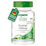 Fairvital | Gurmar 500mg - 90 gélules - Gymnema Sylvestris - qualité contrôlée et hautement dosé - 100% végétalien - Fabriqué en Allemagne
