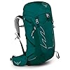 Osprey Tempest 30 Women’s Hiking Backpack Jasper Green, X-Small/Small