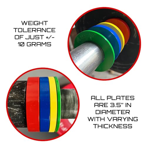 Image of Micro Gainz Calibrated Fractional Weight Plate Set of 2 Plates, Choose Set (.25LB-1.25LB), Designed for Olympic Barbells for Strength Training & Micro Loading Bar Weights, Made in USA