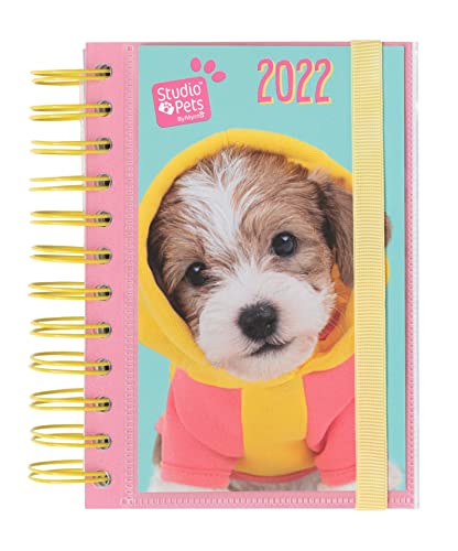 Studio Pets Le Meilleur Prix Dans Amazon Savemoney.es