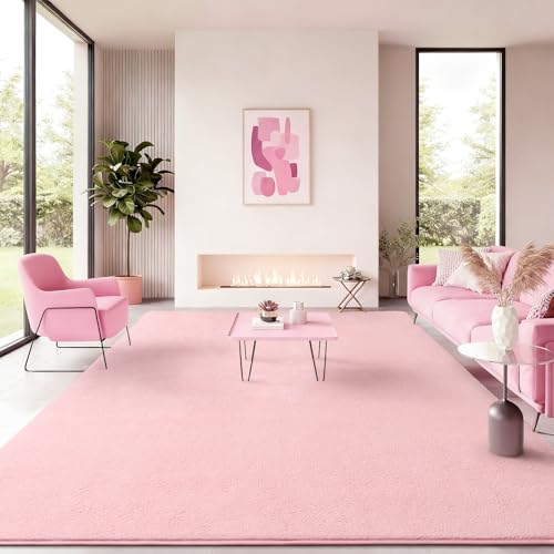 B BENRON Soft Rugs for Living Room 5x7 Pink, Minimalist