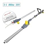 [page_title]-FANZTOOL 20V Li-Ion Akku 2-in-1 Hochentaster/teleskop Heckenschere mit 2Ah Akku & Ladegerät, Reichweite bis 5 m, 17 cm Schnittstärke, leichtes Gewicht 2,5 Kg