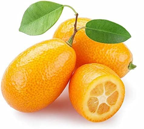 Fresh kumquat X30 - Exotic fruit - fresh from Spain